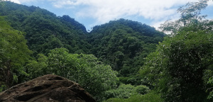 Yacuiba Bolivia National Park