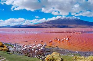 Villamontes Bolivia Natural Lake