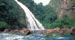 Trinidad Bolivia National Park