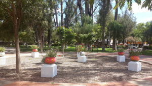 Tarija Bolivia Park