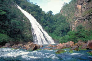 San Ignacio de Velasco Bolivia National Park