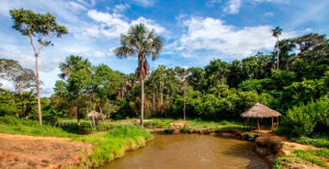 Riberalta Bolivia National Park