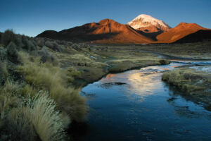 Parque Nacional Sajama