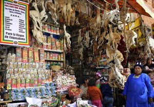 La Paz Bolivia Market