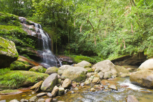 Cotoca Bolivia National Park