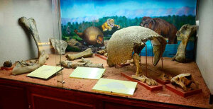 Cochabamba Bolivia Museum