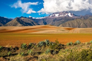 Carrasco National Park