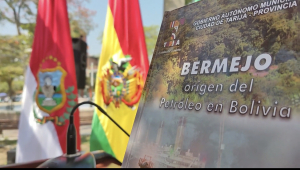 Museo Regional de Bermejo