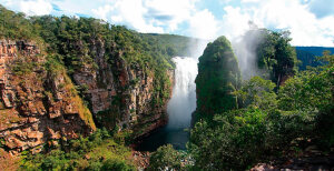 Ascencion de Guarayos Bolivia National Park