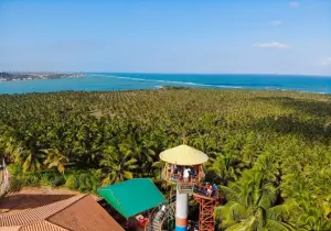 Alagoas Brazil Scenic viewpoint