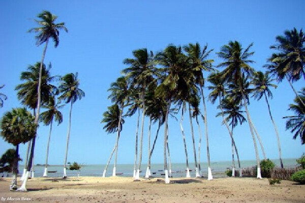 Praia do Cajueiro