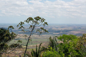 Alagoas Brazil Park