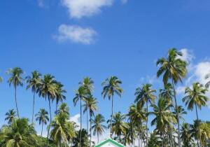 Pernambuco Brazil Beach