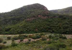 Sao Jose do Egito Brazil Mountain Range