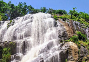 Pernambuco Brazil Ecological Park