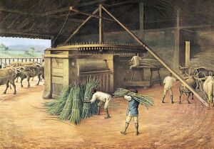 Brazil Historical Sugar Cane Mill