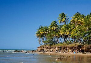 Ceara Brazil Beach