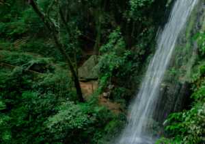 Para Brazil Waterfall