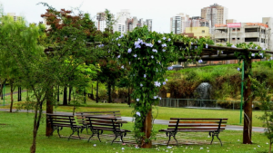 Pernambuco Brazil Park