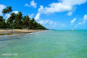 Alagoas Brazil Beach