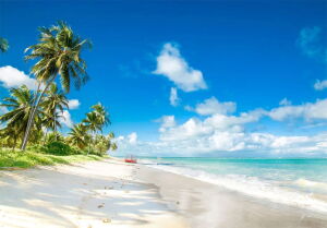 Alagoas Brazil Beach