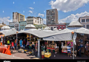 Portel Brazil Market