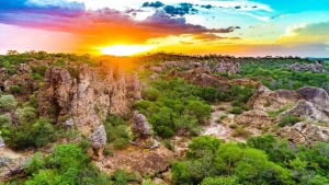 Piripiri Brazil National Park