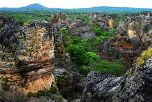 Piracuruca Brazil National Park