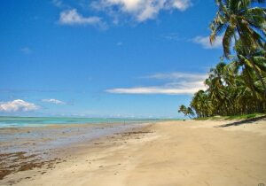 Praia do Patacho