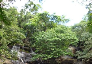 Cachoeira do Roncador