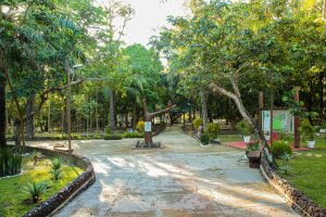 Para Brazil Park