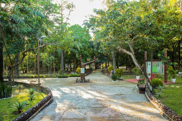 Paragominas Municipal Park