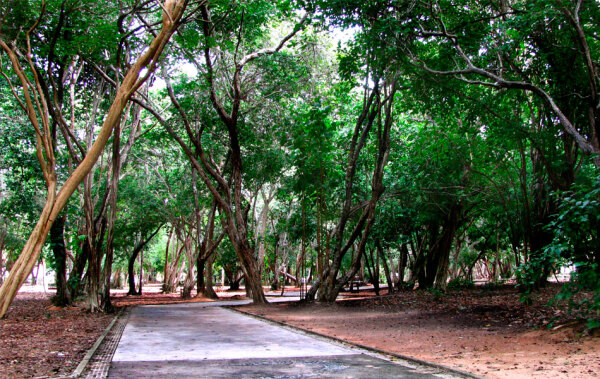 Parque das Dunas