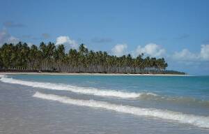 Alagoas Brazil Beach
