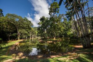 Maraba Brazil Zoo