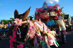 Juazeiro do Norte Brazil Market