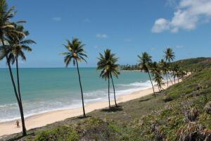 Paraiba Brazil Beach