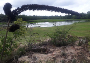 Lagoa das Pedras