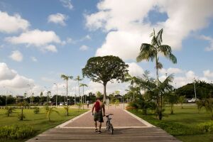 Para Brazil Park