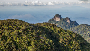 Igarape Acu Brazil National Park