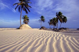 Mangue Seco Beach