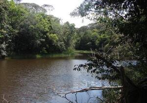 Gloria do Goita Brazil Nature Park