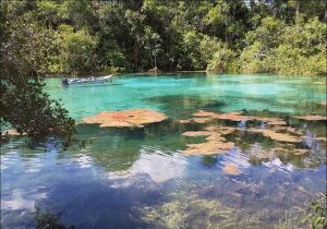 Eusebio Brazil Lagoon
