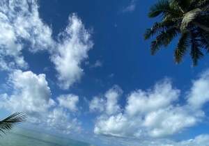 Cajueiro Brazil Lookout Point