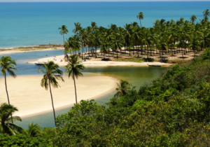 Cajueiro Brazil Lagoon