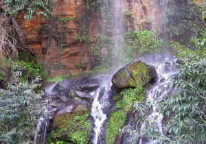 Brejo Santo Brazil Waterfall