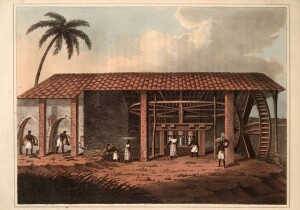 Engenho Trapiche
