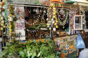 Benevides Brazil Market