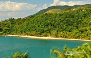 Pernambuco Brazil Beach