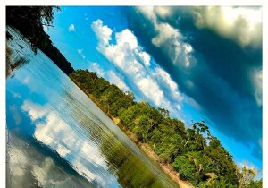 Para Brazil River